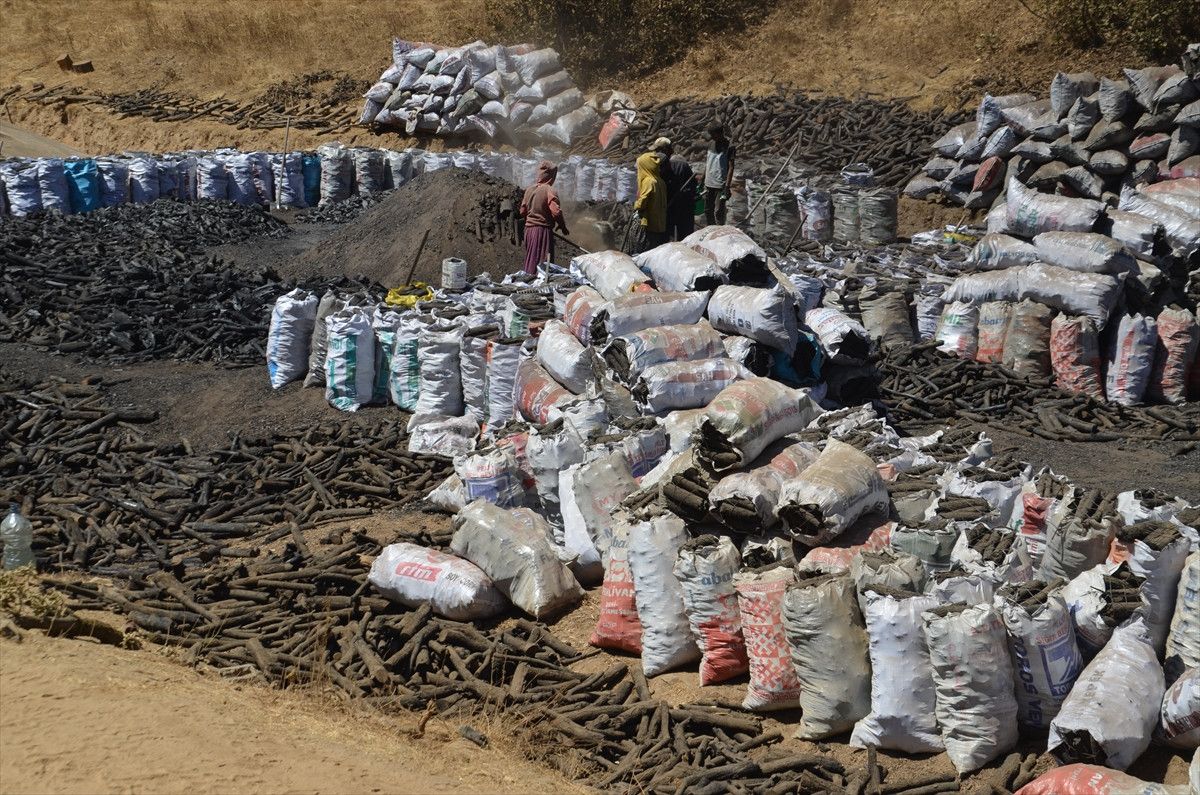 Muşta Mangala Kömürünün Alın Teriyle Yolculuğu: Doğal ve Güvenilir Mangal Kömürü Seçenekleri