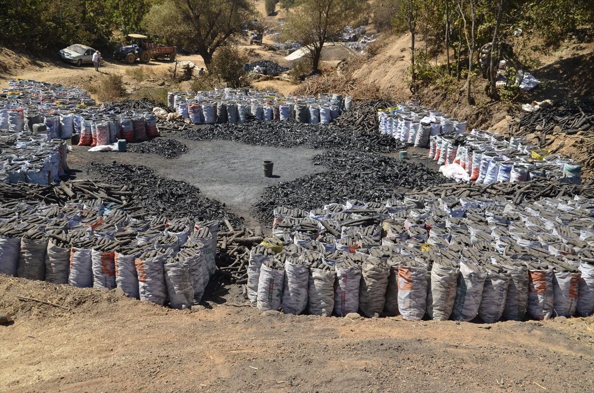 Muşta Mangala Kömürünün Alın Teriyle Yolculuğu: Doğal ve Güvenilir Mangal Kömürü Seçenekleri