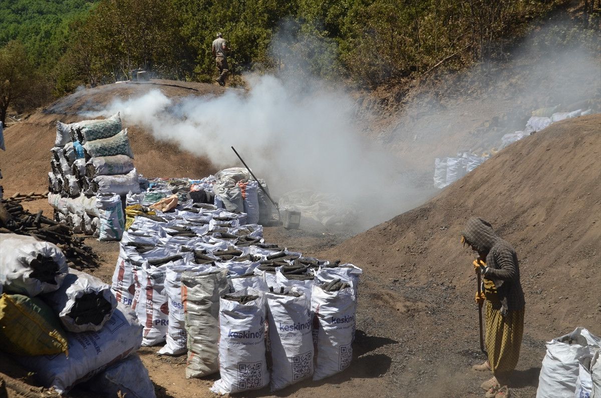 Muşta Mangala Kömürünün Alın Teriyle Yolculuğu: Doğal ve Güvenilir Mangal Kömürü Seçenekleri