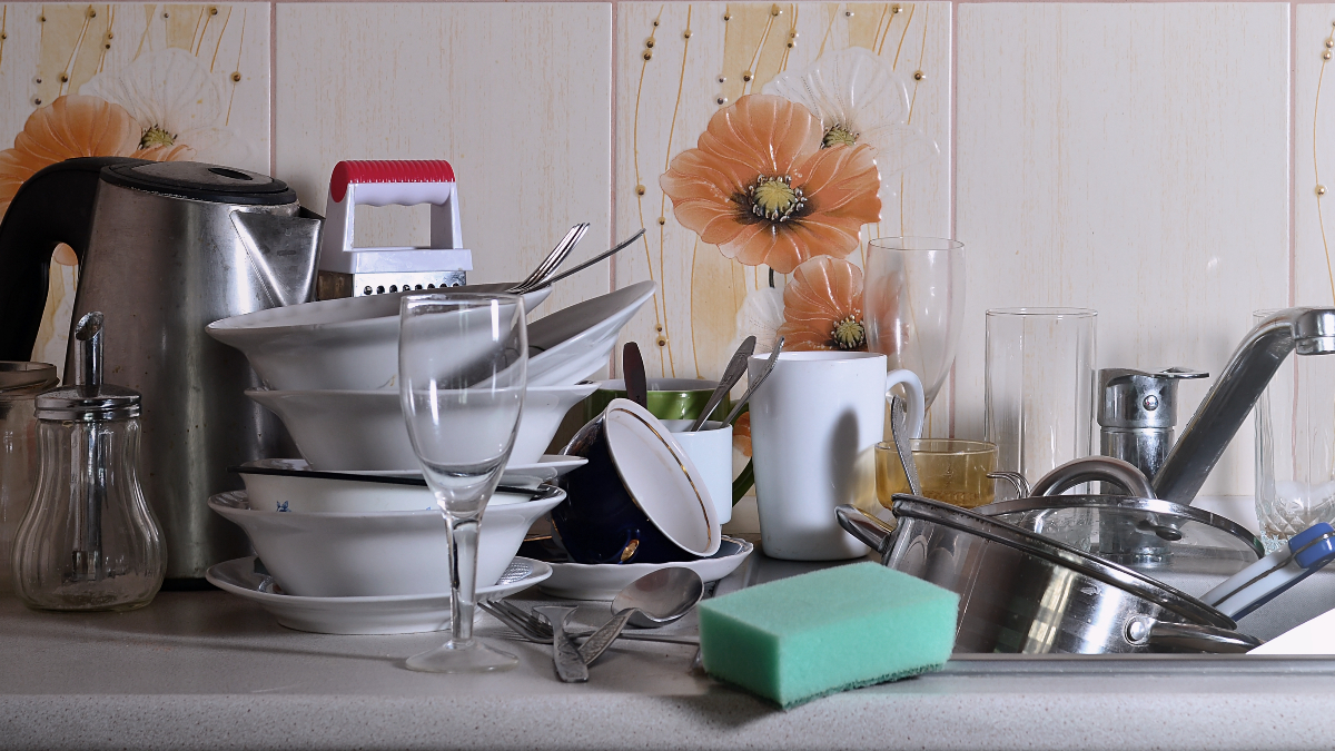 Bakteri ve Mantar Üremesi