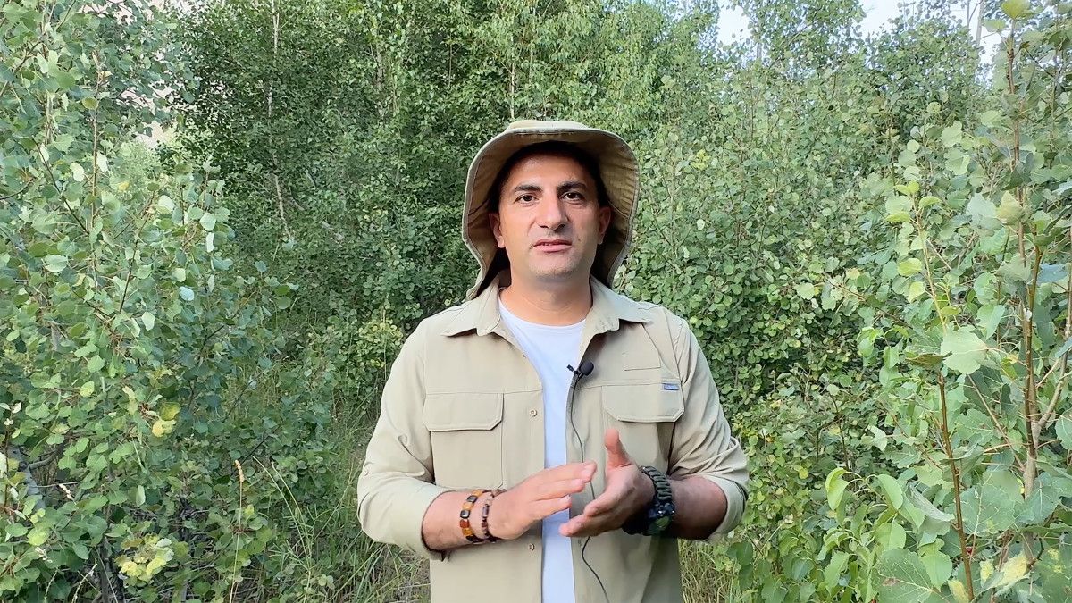 Nemrut Kalderası'nda Ayılar Hem Yüzdü Hem Piknikçilere Misafir Oldu: Doğa ve Macera Dolu Bir Gün