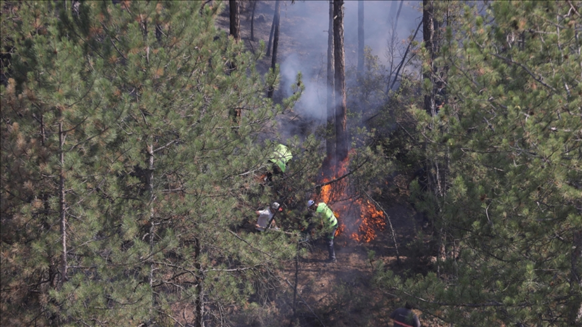 Orman Yangını Dumanının Solunum ve Dolaşım Sistemlerine Etkisi