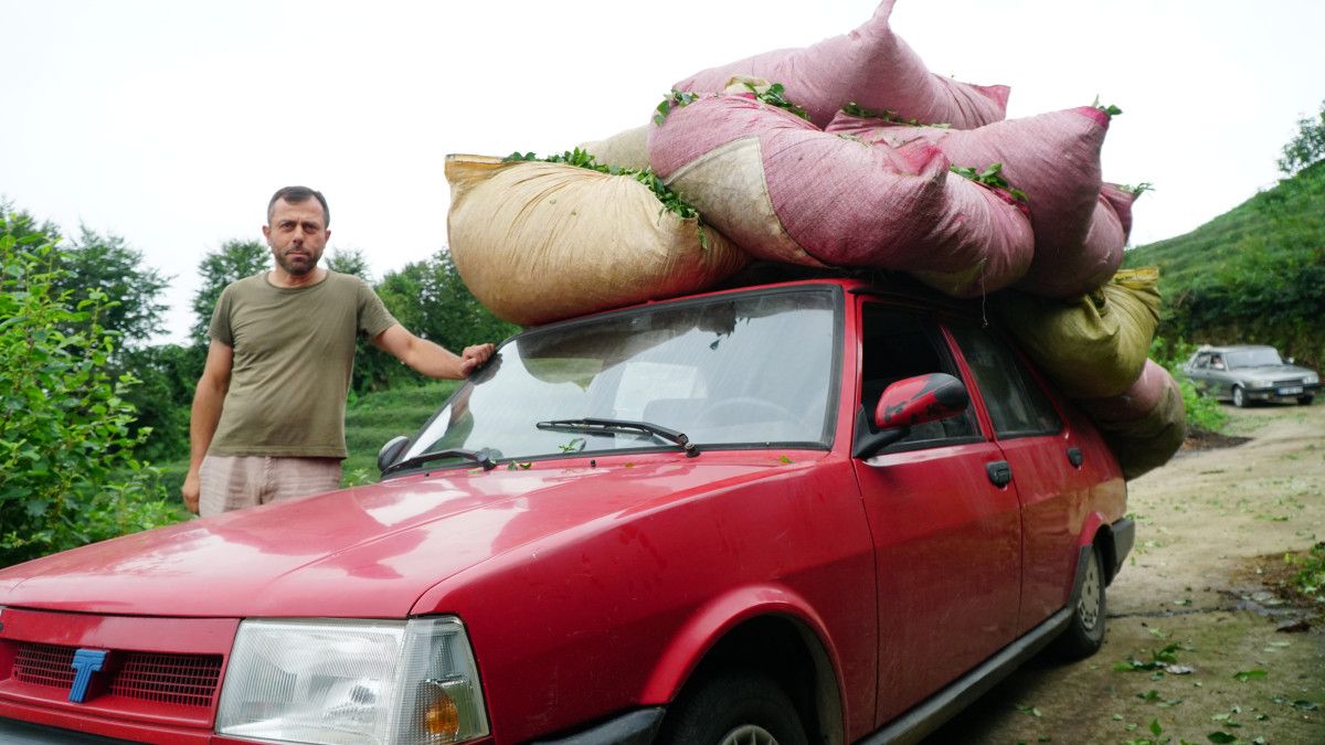 “Bize Göre Normal”