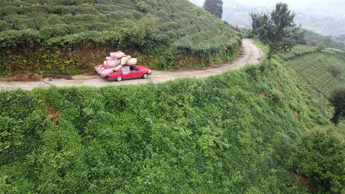 Rizeliler Çay Taşıma Yönteminde Yenilikçi Çözüm Geliştirdi