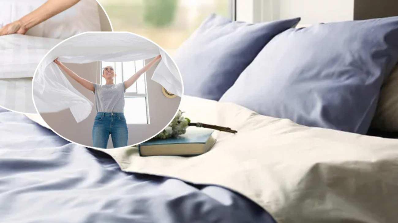 Bilimsel Araştırmalar ve Bulgular