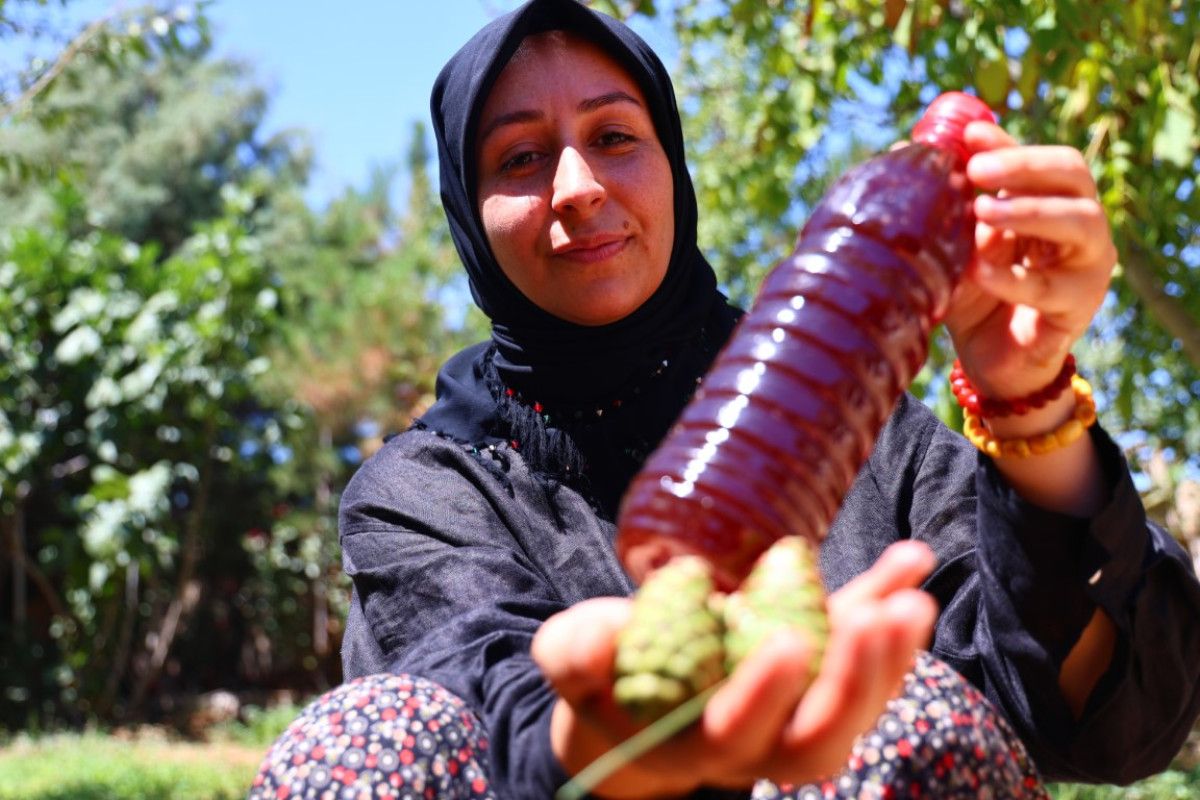 Kozalak Şurubunun Yapımı ve Faydaları