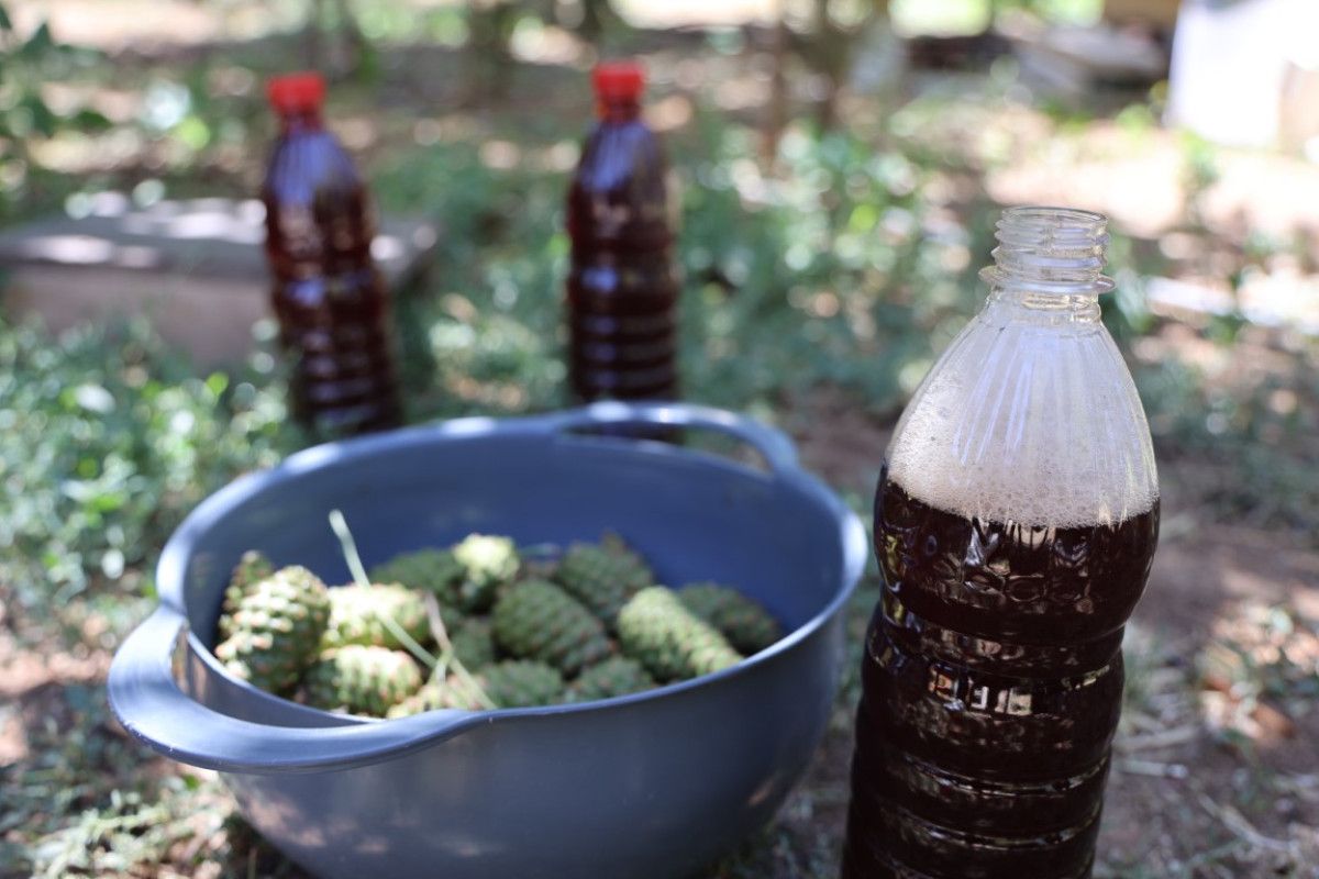 Sigara İçenlere Şifa: 7 Saat Kazanda Pişirilen Mucize Tarif