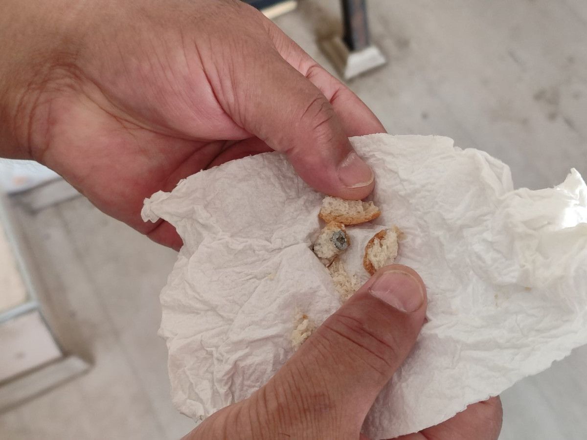 Sinop'ta Ekmekten Vida Çıktı: Neredeyse Dişimi Kıracaktı