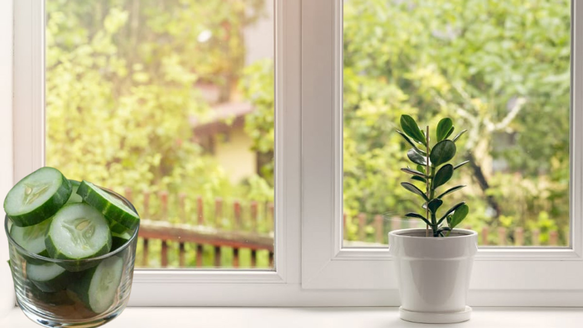 Sürekli ve Ayrıca Kullandıkları Sır: Doğal Kimyasalların Gücü