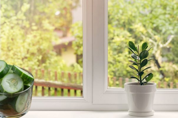 Sırbistan’da Pencere Önlerine Salatalık Dizmenin İlginç Nedeni