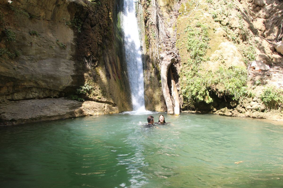 Gelecekteki Planlar ve Gelişim Çabaları