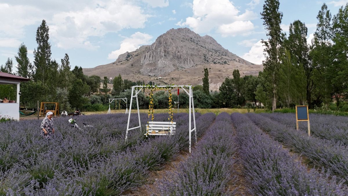 Sivasta Aşık Olduğu Dağın Eteğinde Lavanta Bahçesi Kurdu