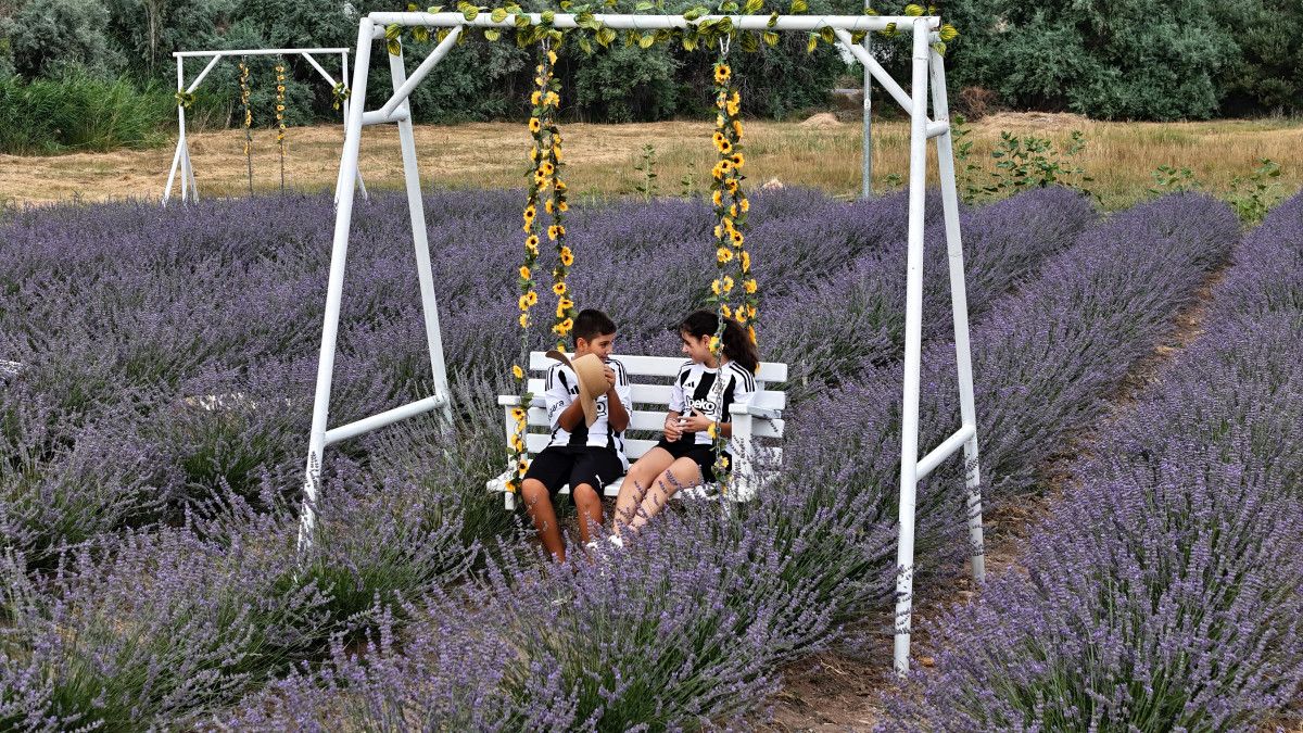 Sivasta Aşık Olduğu Dağın Eteğinde Lavanta Bahçesi Kurdu