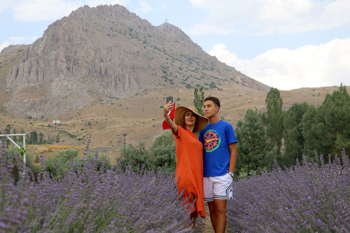 Sivasta Aşık Olduğu Dağın Eteğinde Lavanta Bahçesi Kurdu