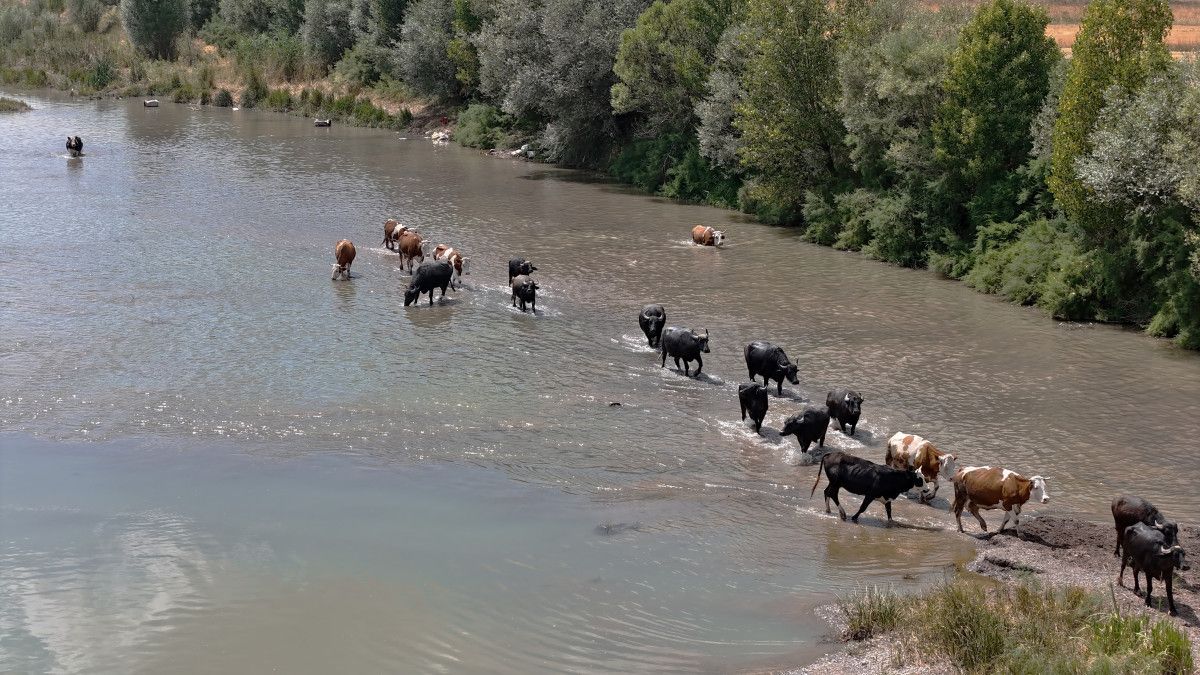 Çamur Banyosu ve Doğal Temizlik