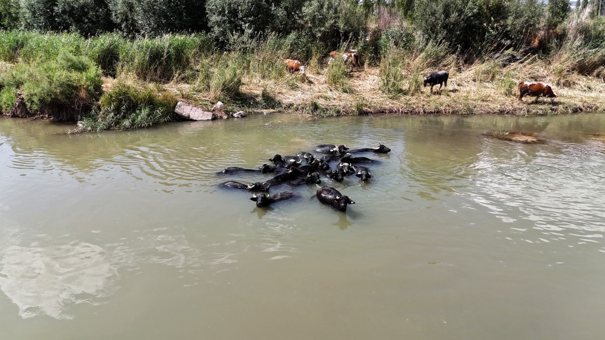 Havadan Görüntüler ve Doğal Serinleme