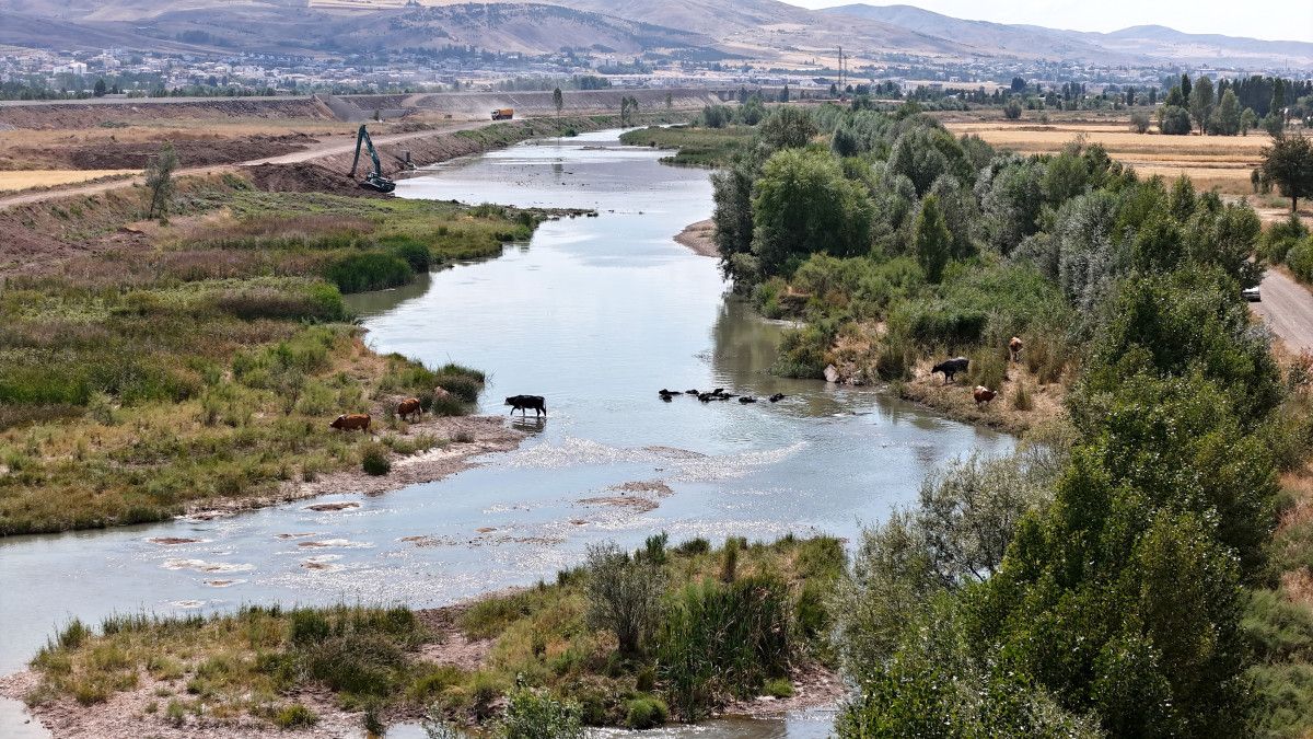 Sivasta Sıcaklardan Bunalan Mandalar Kızılırmakta Serinliğe Kavuştu