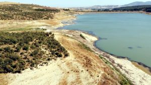Tekirdağ Yazır Göleti Alarm Işığı Yakıyor: Su Seviyesi Yüzde 4’e Geriledi