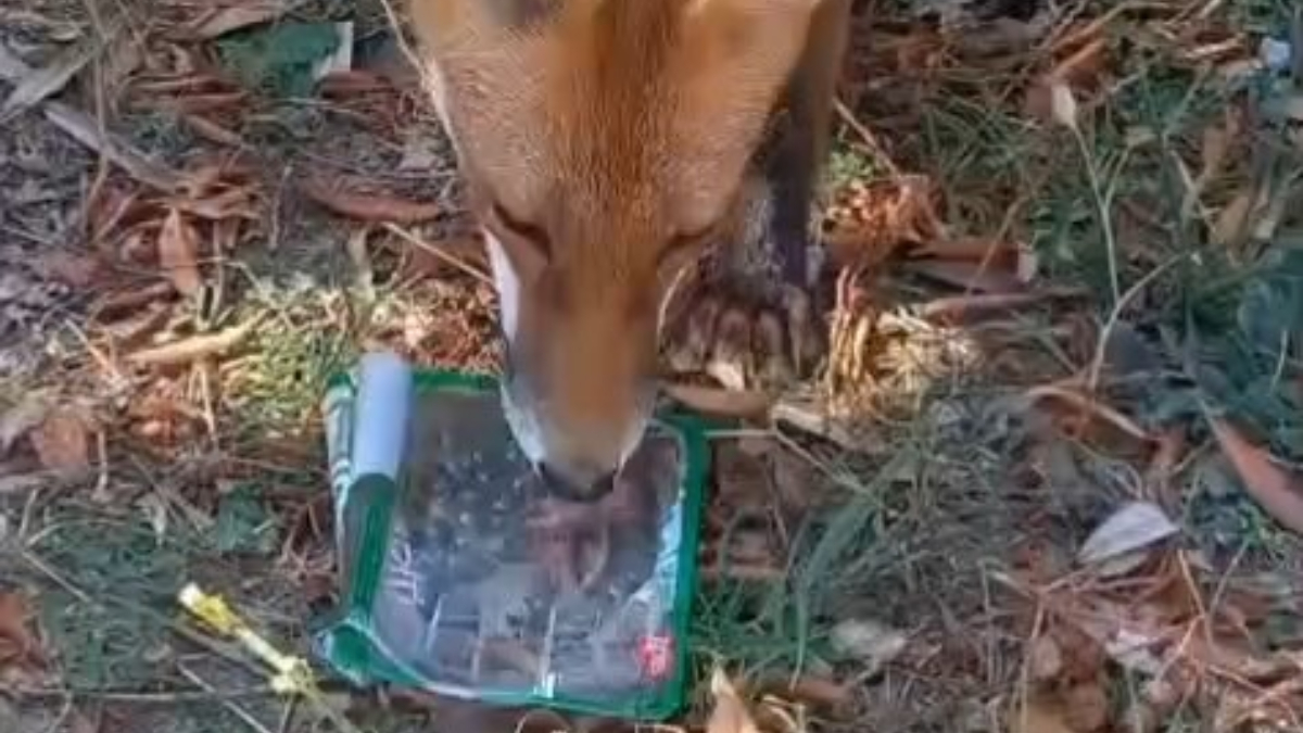 Sosyal Medyada İlgi Gördü