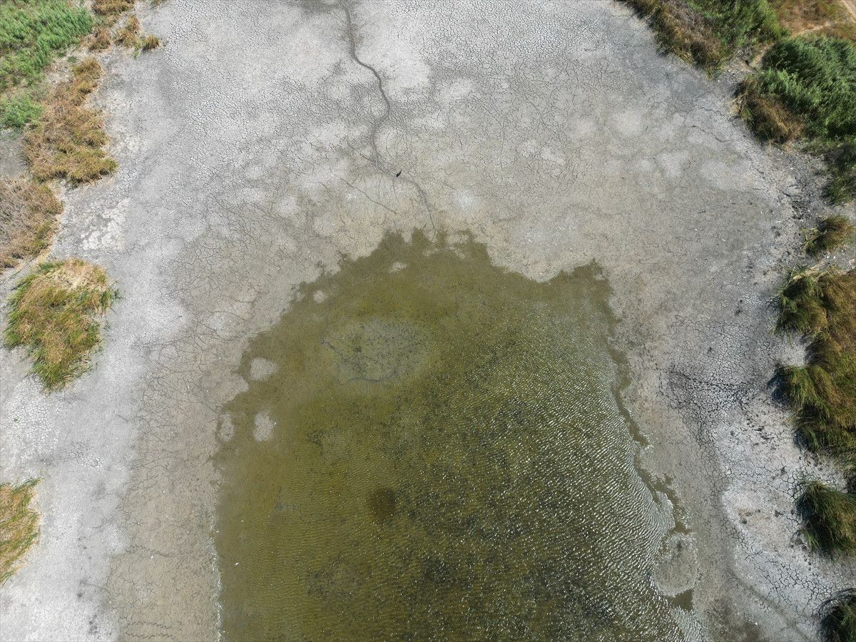 Tekirdağ'da Su Seviyesi Azaldı, Gölette Balıklar Telef Oldu