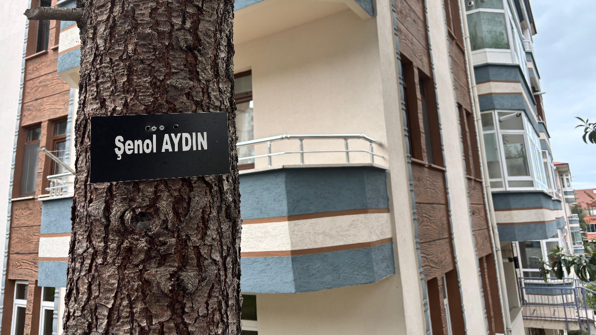 Site Yönetiminden Duygusal Bir Hikaye