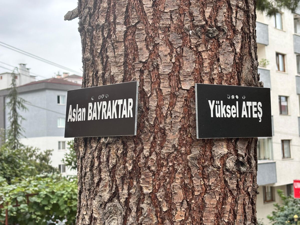 Trabzon'daki Site Bahçesi Hatıra Ormanına Dönüştü: Doğa ve Anılar Bir Arada