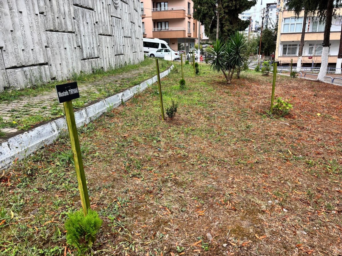 Trabzon'daki Site Bahçesi Hatıra Ormanına Dönüştü: Doğa ve Anılar Bir Arada