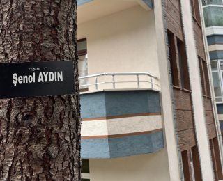 Trabzon’daki Site Bahçesi Hatıra Ormanına Dönüştü: Doğa ve Anılar Bir Arada