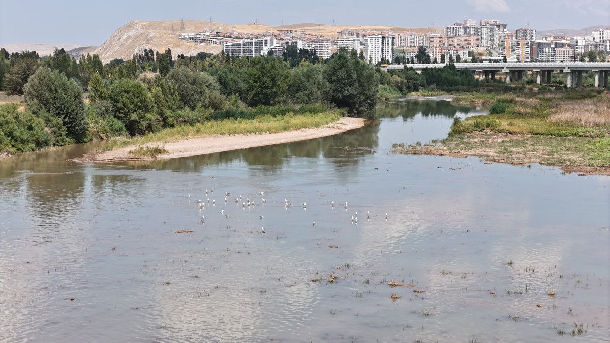 Türkiye'nin En Uzun Nehri Kuraklıkla Mücadele Ediyor