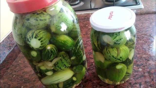 Viranşehir'in Endemik Lezzeti Şelengo Turşusu Tarifi ve Yapım Aşamaları