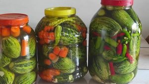 Viranşehir’in Endemik Lezzeti Şelengo Turşusu Tarifi ve Yapım Aşamaları