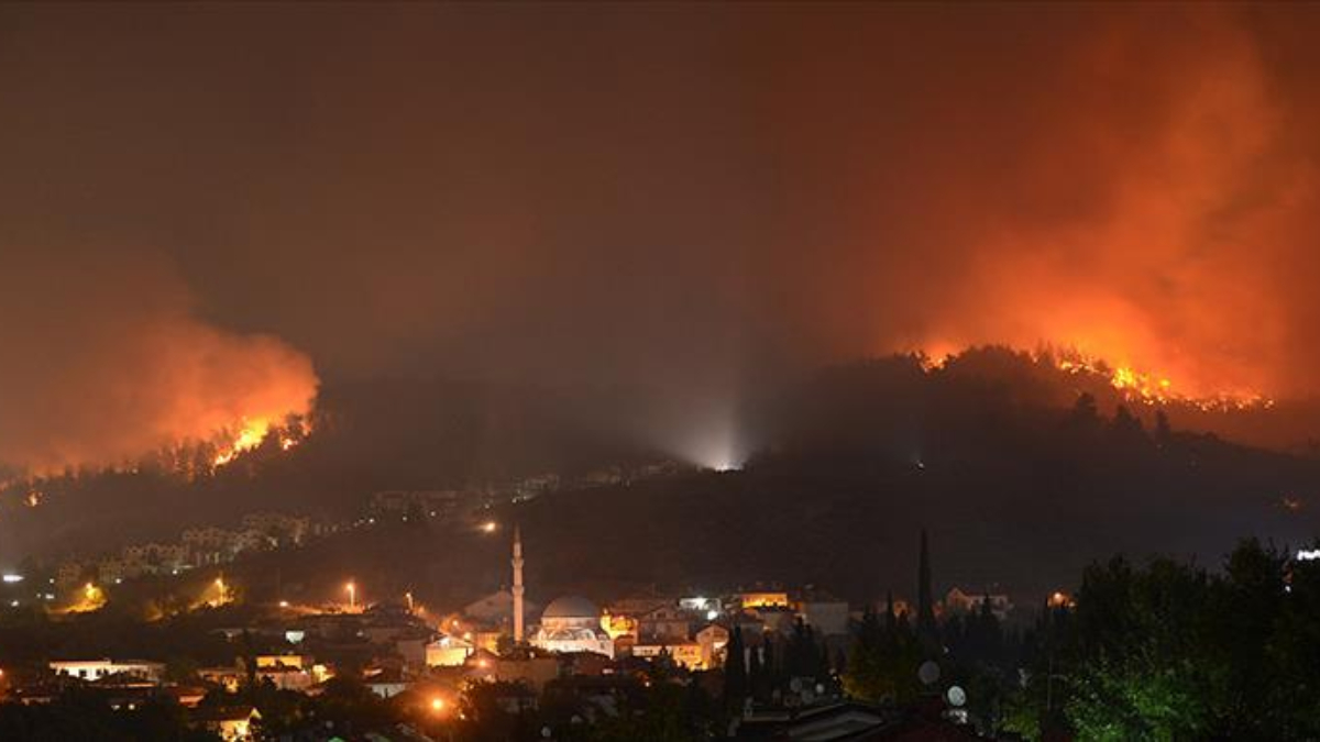 Yanan Ormanların Yeniden Canlanması ve Zaman Çizelgesi