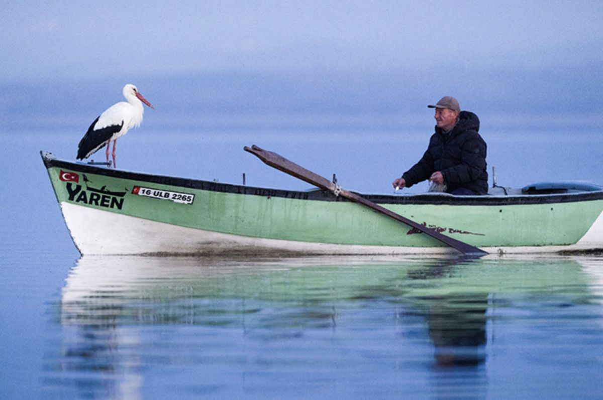 Yaren Leylek Eylül Gelmeden Geldi