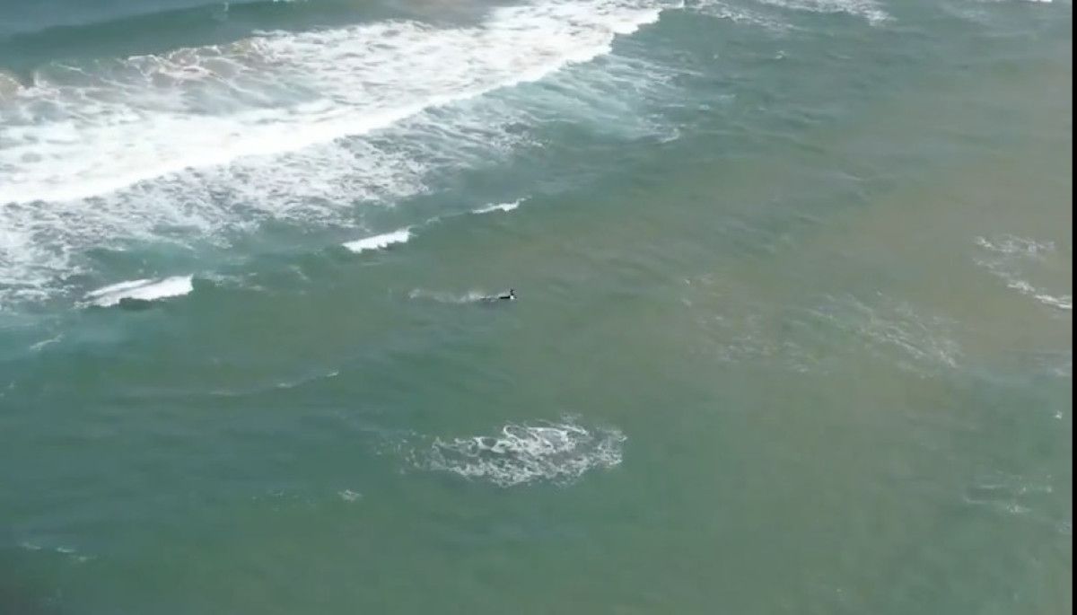 İstanbul İtfaiyesinden Uygulamalı Kurtarma Deneyimi