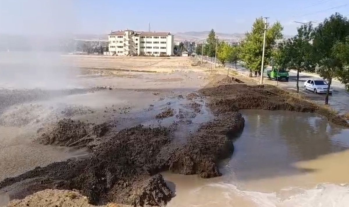 Olayın Detayları ve Çalışmalar