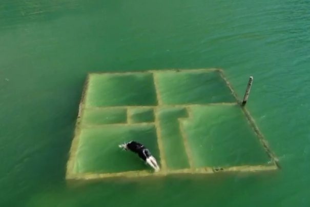 Yusufeli Baraj Sularına Gömülen Anılarını Yansıtan Derin Dalış Hikayesi