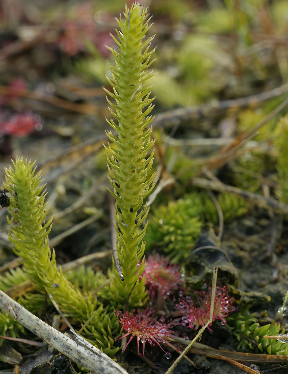 Dikkat Edilmesi Gerekenler ve Güvenlik