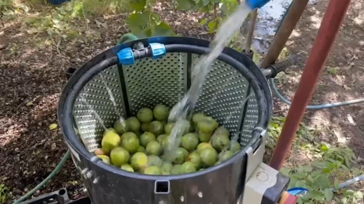 Lezzet ve Kalitenin Buluşması