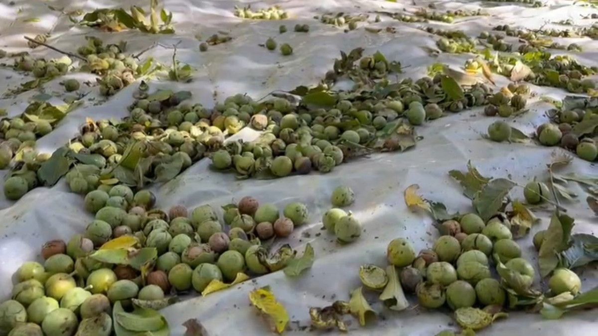 Lezzet ve Kalitenin Buluşması