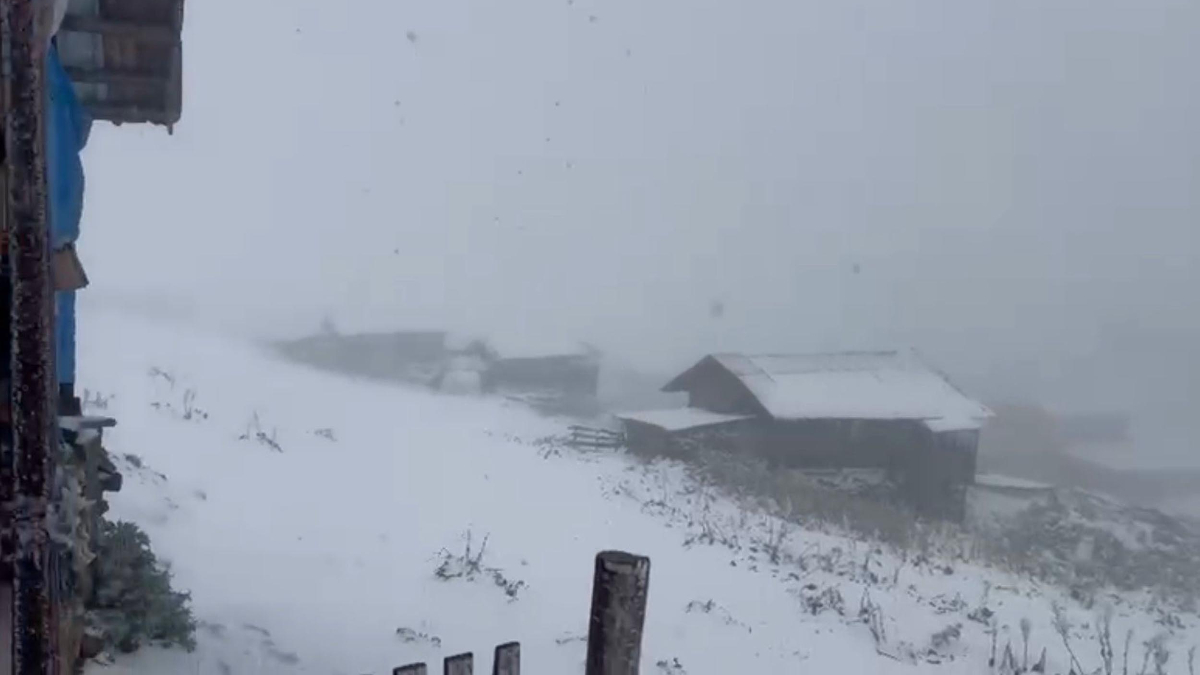 Yaylacılardan Güncel Bilgiler