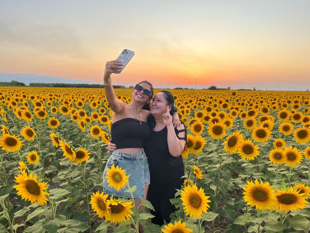 Aydın'da Büyüleyici Ayçiçeği Tarlalarıyla Tanışın