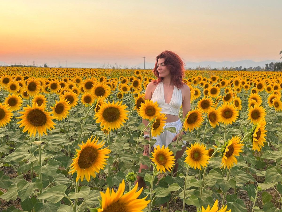 Aydın'da Büyüleyici Ayçiçeği Tarlalarıyla Tanışın