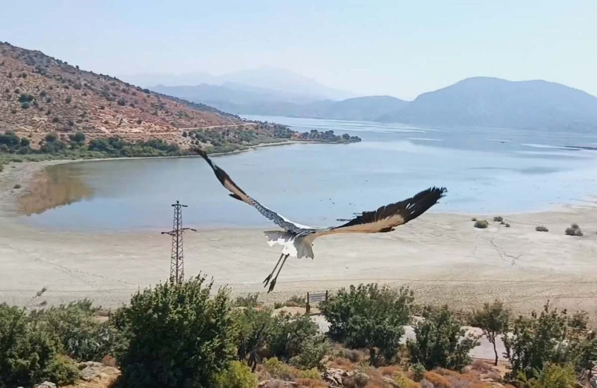 Kibar’ın doğaya dönüşü ve Afrika göçü