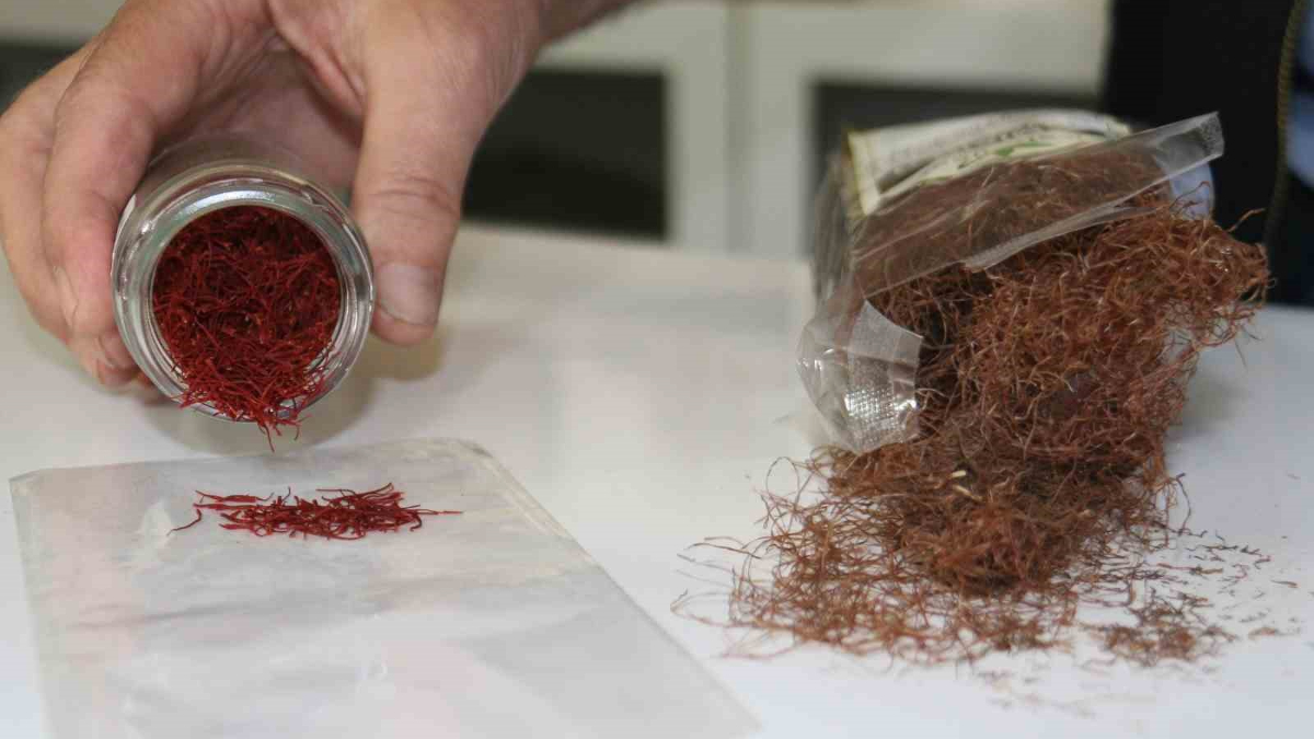 Safran ve Sahte Safran Arasındaki Farklar