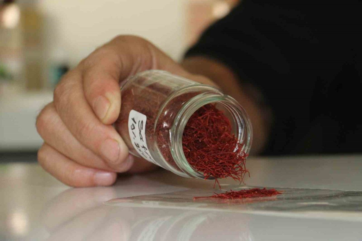 Safran ve Sahte Safran Arasındaki Farklar