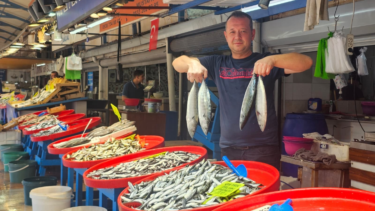 Balıkçılar ve Fiyatlar Hakkında Görüşler