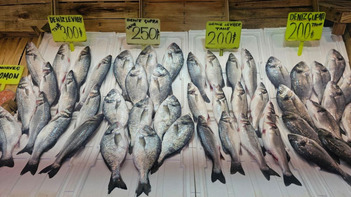 Balıkesirde Balıkçılar Soğuk Havalara Hazırlanıyor