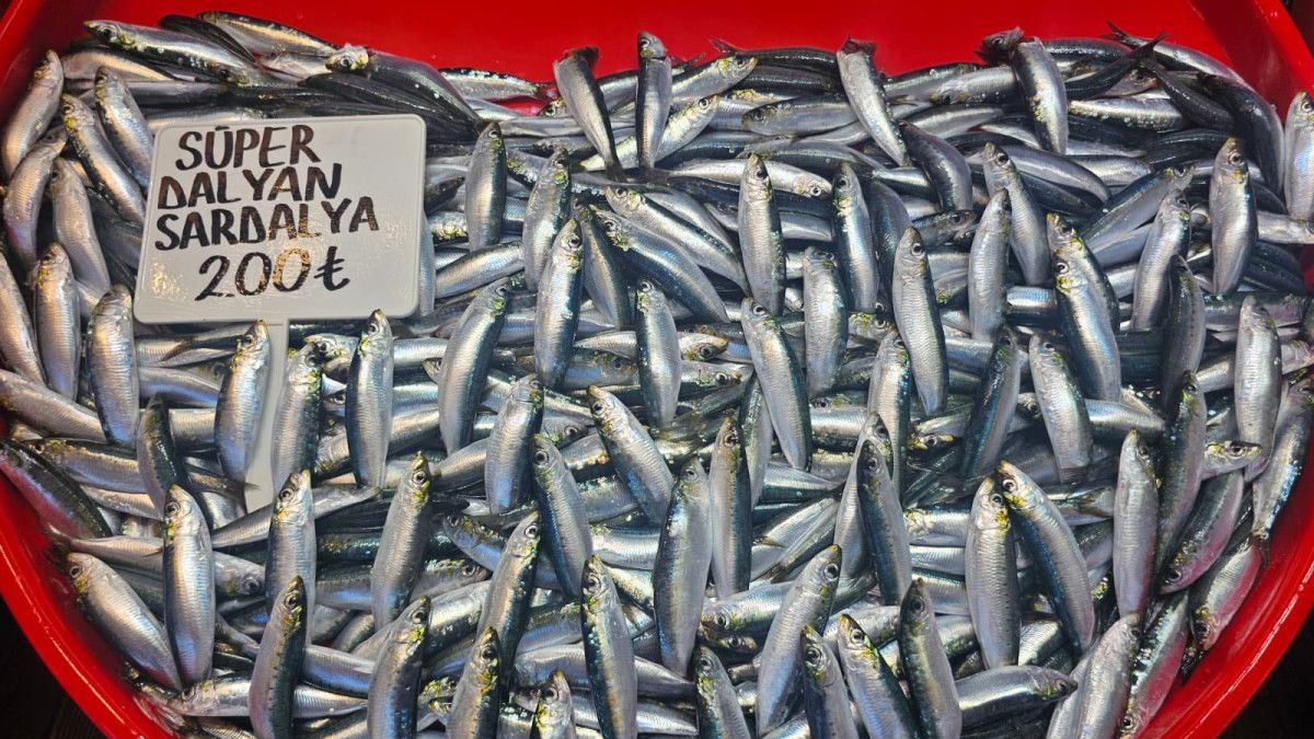 Balıkesirde Balıkçılar Soğuk Havalara Hazırlanıyor