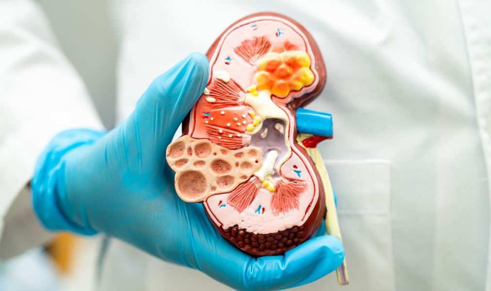 Operasyon Süresi Kısalıyor ve İyileşme Hızı Artıyor