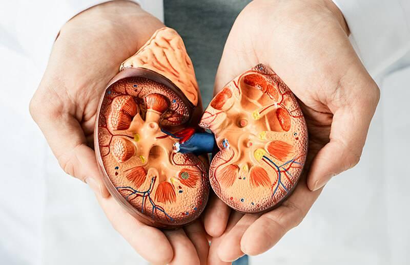 Böbrek Tümörlerinde Robotik Cerrahi: Süre Azaldı, İyileşme Hızlandı!